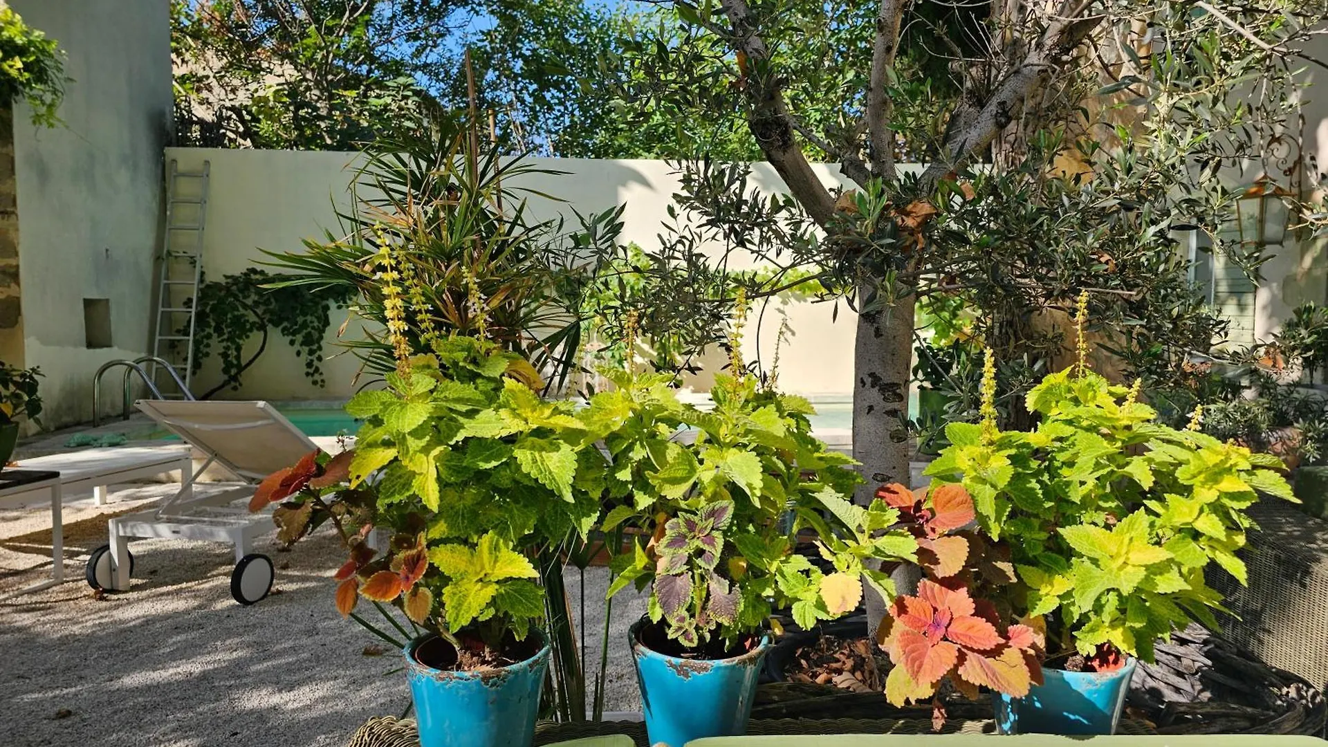 Bed and Breakfast Mas A L'Improviste Maillane